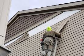 Storm Damage Siding Repair in Alamo, NV